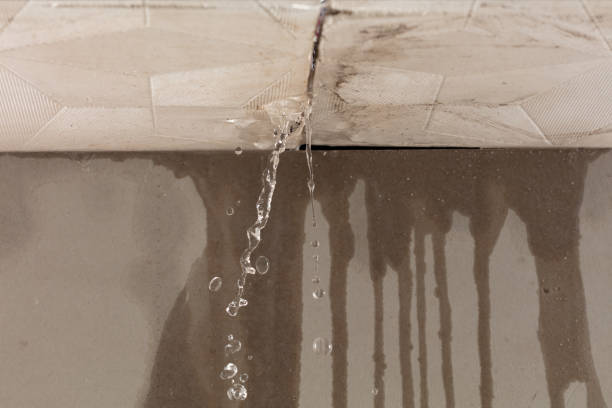 Professional Flood Damage Cleanup technician working in Pine Grove, CA